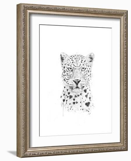 Lovely Leopard-Balazs Solti-Framed Art Print