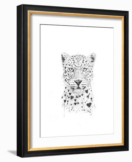 Lovely Leopard-Balazs Solti-Framed Art Print