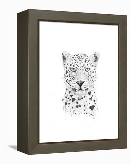 Lovely Leopard-Balazs Solti-Framed Stretched Canvas