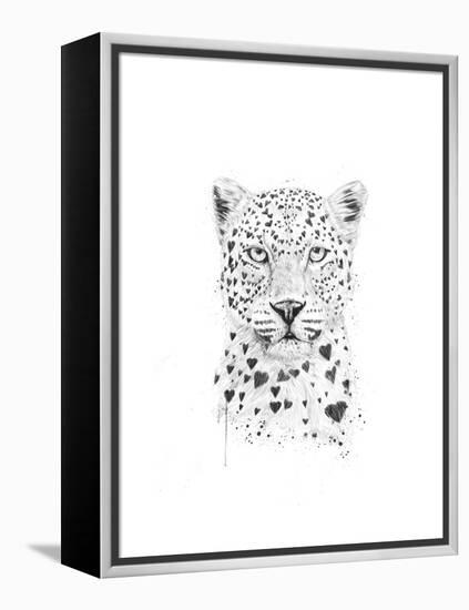 Lovely Leopard-Balazs Solti-Framed Stretched Canvas