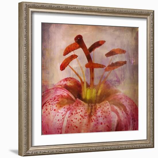 Lovely Lily I-Anna Polanski-Framed Art Print