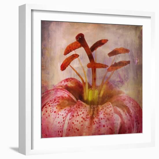 Lovely Lily I-Anna Polanski-Framed Art Print