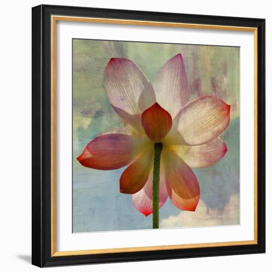 Lovely Lily II-Anna Polanski-Framed Art Print