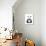 Lovely Panda-Balazs Solti-Premium Giclee Print displayed on a wall
