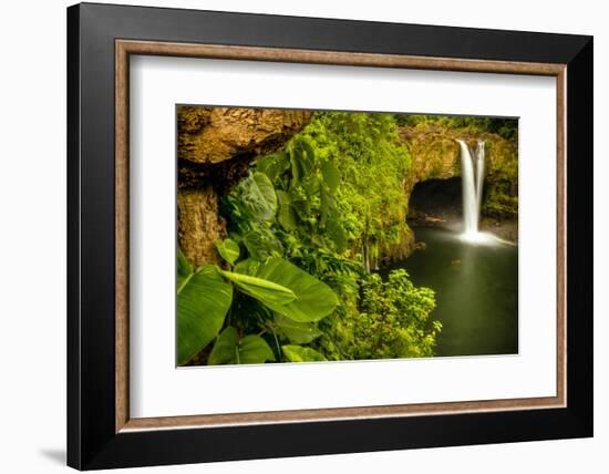 Lovely Rainbow Falls in Wailuku State Park on the edge of Hilo, Hawaii-Jerry Ginsberg-Framed Photographic Print