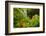 Lovely Rainbow Falls in Wailuku State Park on the edge of Hilo, Hawaii-Jerry Ginsberg-Framed Photographic Print