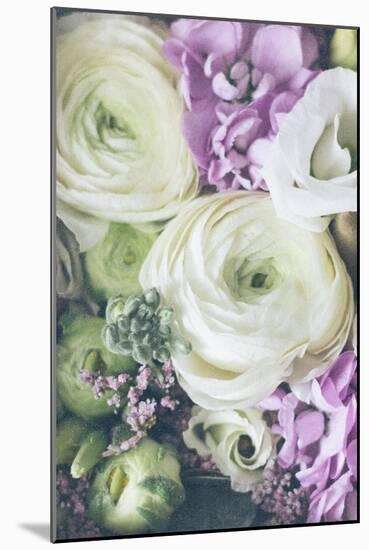 Lovely Ranunculus-Unknown Uplusmestudio-Mounted Giclee Print