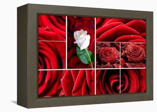 Lovely Roses Mosaic-duallogic-Framed Stretched Canvas