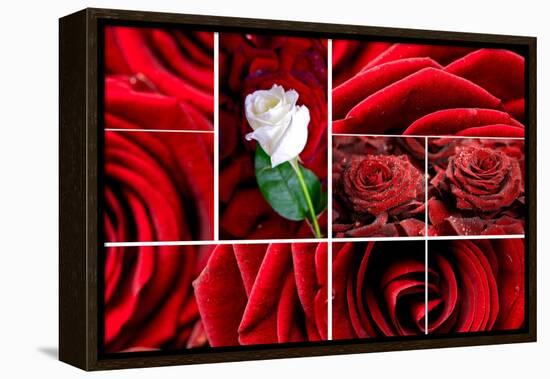 Lovely Roses Mosaic-duallogic-Framed Stretched Canvas