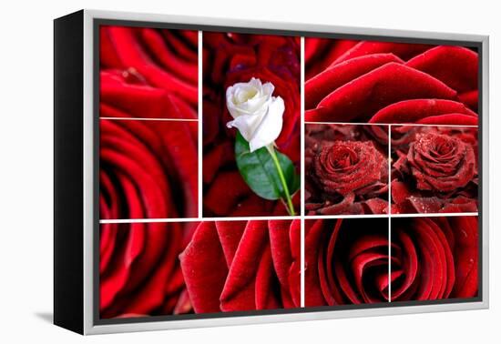 Lovely Roses Mosaic-duallogic-Framed Stretched Canvas