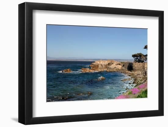 Lover's Point at Pacific Grove, California.-Wolterk-Framed Photographic Print