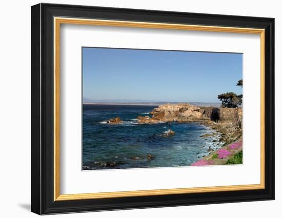 Lover's Point at Pacific Grove, California.-Wolterk-Framed Photographic Print