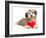 Lover Valentine Chocolate Havanese-mdorottya-Framed Photographic Print