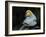 Lover-Cheng Chang-Framed Photographic Print