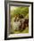 Lovers, 1855 (Oil on Board)-William Powell Frith-Framed Giclee Print