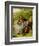 Lovers, 1855 (Oil on Board)-William Powell Frith-Framed Giclee Print