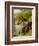 Lovers, 1855 (Oil on Board)-William Powell Frith-Framed Giclee Print