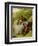 Lovers, 1855 (Oil on Board)-William Powell Frith-Framed Giclee Print