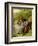 Lovers, 1855 (Oil on Board)-William Powell Frith-Framed Giclee Print