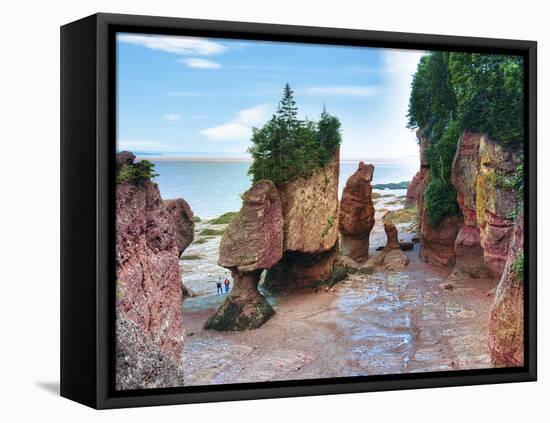 Lovers Arch and Bear Rock Sea Stacks, Hopewell Rocks Bay, Hopewell Cape, New Brunswick, Canada-Miva Stock-Framed Premier Image Canvas