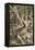 Lovers, C1527-Parmigianino-Framed Premier Image Canvas