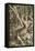 Lovers, C1527-Parmigianino-Framed Premier Image Canvas