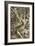 Lovers, C1527-Parmigianino-Framed Giclee Print