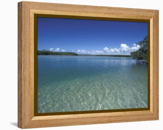 Lovers Key SRA, Ft. Myers Beach, Florida-Maresa Pryor-Framed Premier Image Canvas