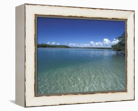 Lovers Key SRA, Ft. Myers Beach, Florida-Maresa Pryor-Framed Premier Image Canvas