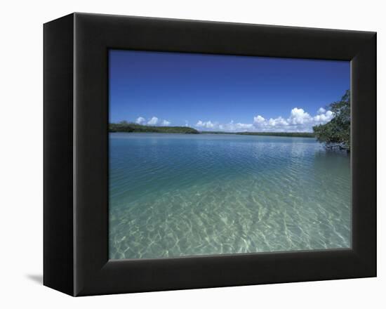 Lovers Key SRA, Ft. Myers Beach, Florida-Maresa Pryor-Framed Premier Image Canvas