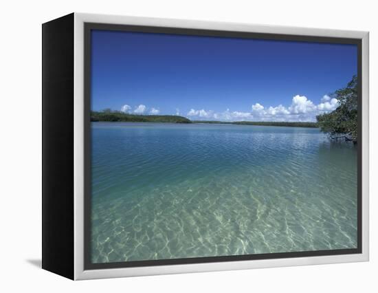 Lovers Key SRA, Ft. Myers Beach, Florida-Maresa Pryor-Framed Premier Image Canvas