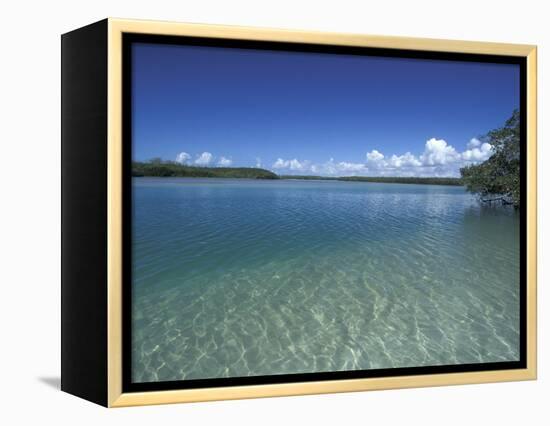 Lovers Key SRA, Ft. Myers Beach, Florida-Maresa Pryor-Framed Premier Image Canvas