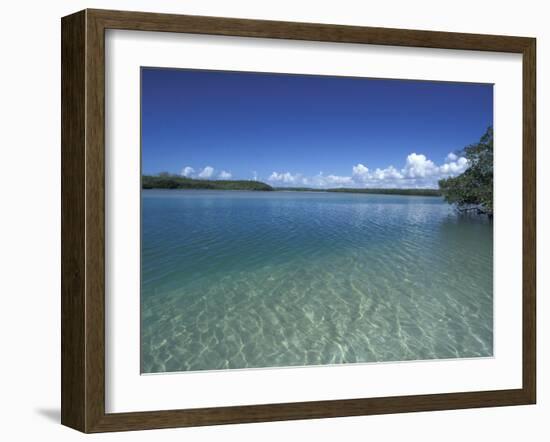 Lovers Key SRA, Ft. Myers Beach, Florida-Maresa Pryor-Framed Photographic Print