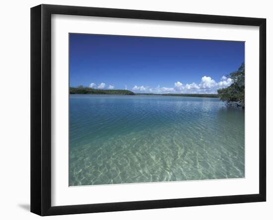 Lovers Key SRA, Ft. Myers Beach, Florida-Maresa Pryor-Framed Photographic Print