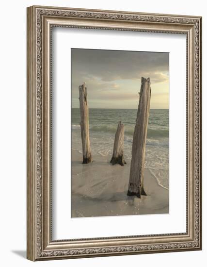 Lovers Key State Park, Florida-Maresa Pryor-Framed Photographic Print