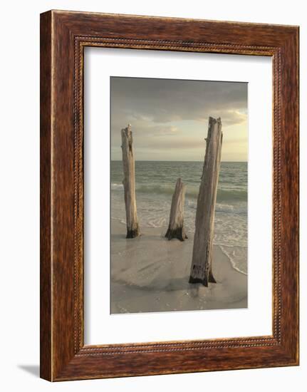 Lovers Key State Park, Florida-Maresa Pryor-Framed Photographic Print