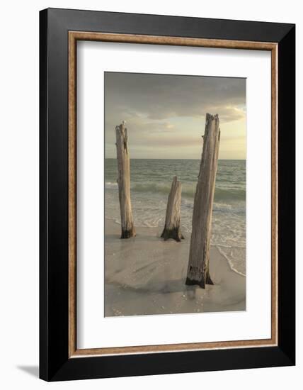 Lovers Key State Park, Florida-Maresa Pryor-Framed Photographic Print