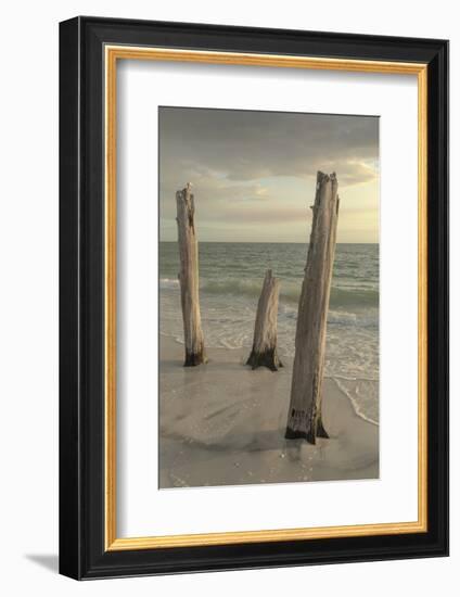 Lovers Key State Park, Florida-Maresa Pryor-Framed Photographic Print