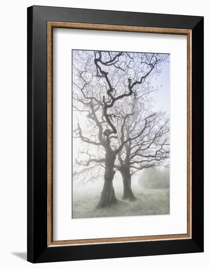 Lovers Of The Lake-Viviane Fedieu Daniel-Framed Photographic Print