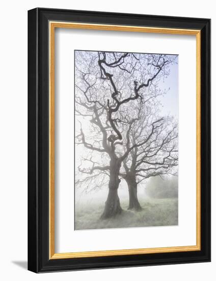 Lovers Of The Lake-Viviane Fedieu Daniel-Framed Photographic Print