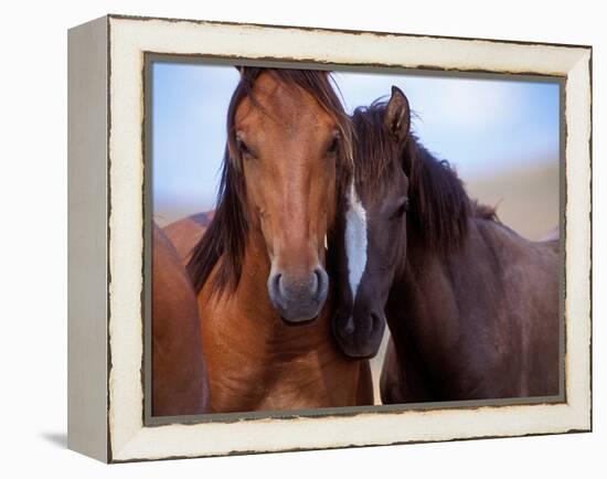 Lovers-Tony Stromberg-Framed Premier Image Canvas