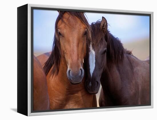 Lovers-Tony Stromberg-Framed Premier Image Canvas