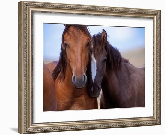 Lovers-Tony Stromberg-Framed Photographic Print