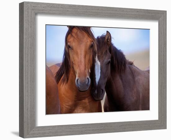 Lovers-Tony Stromberg-Framed Photographic Print