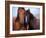 Lovers-Tony Stromberg-Framed Photographic Print