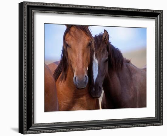 Lovers-Tony Stromberg-Framed Photographic Print