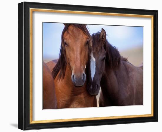 Lovers-Tony Stromberg-Framed Photographic Print