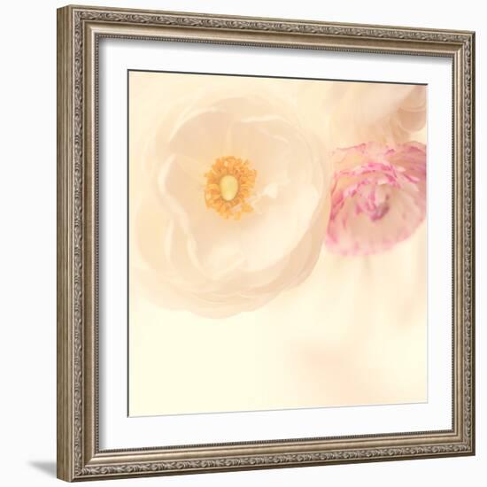 Loves Reminders-Doug Chinnery-Framed Photographic Print