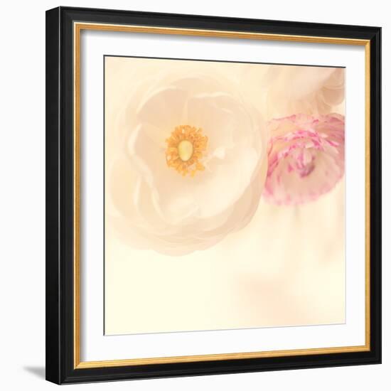 Loves Reminders-Doug Chinnery-Framed Photographic Print