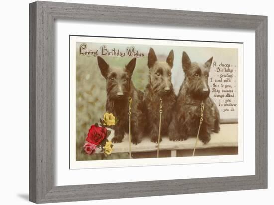 Loving Birthday Wishes, Three Scottie Dogs-null-Framed Art Print